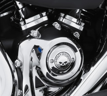 Dekielek zapłonu Willie G Harley-Davidson 25600066 M8