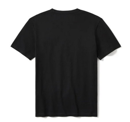 Koszulka męska Harley-Davidson