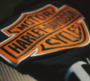 Champion x Harley-Davidson koszulka męska