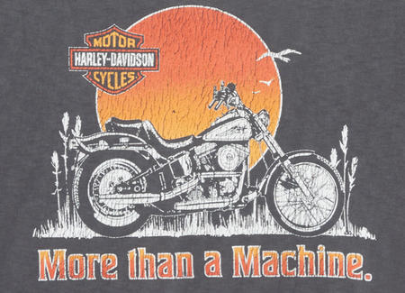 Koszulka męska Harley-Davidson