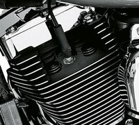 Czarne zaślepki śrub głowicy, rockerboxa Harley-Davidson® 43896-99