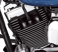 Zaślepki śrub głowicy, rockerboxa Harley-Davidson® 43822-01